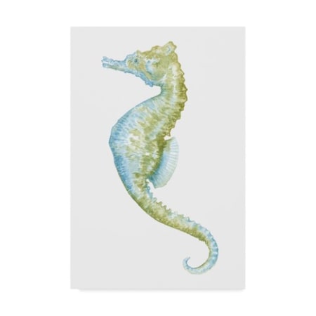 Megan Meagher 'Watercolor Seahorse Ii' Canvas Art,16x24